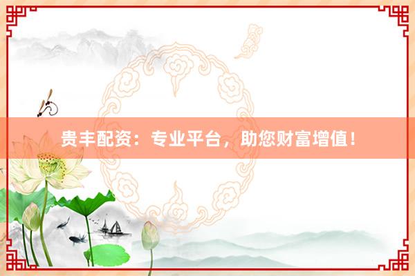 贵丰配资：专业平台，助您财富增值！