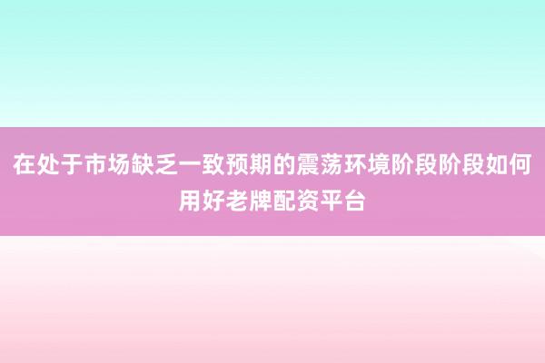 在处于市场缺乏一致预期的震荡环境阶段阶段如何用好老牌配资平台