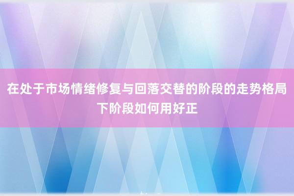 在处于市场情绪修复与回落交替的阶段的走势格局下阶段如何用好正