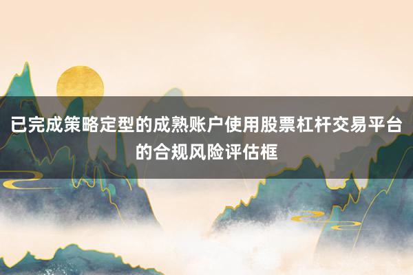 已完成策略定型的成熟账户使用股票杠杆交易平台的合规风险评估框