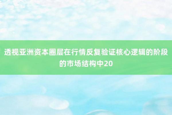 透视亚洲资本圈层在行情反复验证核心逻辑的阶段的市场结构中20