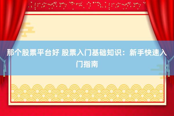 那个股票平台好 股票入门基础知识：新手快速入门指南